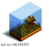 Scuba diving snorkelling isometric composition with bathyscaph and sea bottom with fishes and water grass vector illustration. Bathyscaph Underwater Isometric Composition. Стоковая иллюстрация, агентство Ingram Publishing / Фотобанк Лори