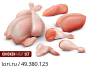 Colored chicken meat icon set with different parts of chicken carcass separated and chopped vector illustration. Chicken Meat Icon Set. Стоковая иллюстрация, агентство Ingram Publishing / Фотобанк Лори