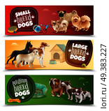 Three horizontal dog breeds banner set with small large and medium breeds vector illustration. Dog Breeds Banner Set. Стоковая иллюстрация, агентство Ingram Publishing / Фотобанк Лори