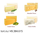 Set of cheese kinds in pieces brie, gouda, dorblu and maasdam with spices isolated vector illustration. Cheese Kinds Set. Стоковая иллюстрация, агентство Ingram Publishing / Фотобанк Лори