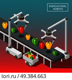 Agricultural robots isometric background with modern automated devices intended for vegetable sorting on transporter vector illustration. Agricultural Robots Isometric Background. Стоковая иллюстрация, агентство Ingram Publishing / Фотобанк Лори