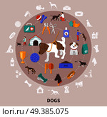 Dogs round composition with flat isolated images for pet owners with food toys grooming and training vector illustration. Dogs Pets Flat CIrcle Composition . Стоковая иллюстрация, агентство Ingram Publishing / Фотобанк Лори