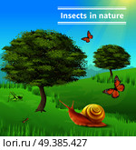 Insects in nature title realistic composition poster with grasshopper ants butterflies snail grass and trees vector illustration . Snail Insects Nature Poster. Стоковая иллюстрация, агентство Ingram Publishing / Фотобанк Лори
