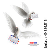 White pigeons set with pigeon mail symbols realistic isolated vector illustration. White Pigeons Set. Стоковая иллюстрация, агентство Ingram Publishing / Фотобанк Лори