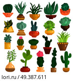 Cacti and succulents in pots flat icons collection with aloe agave kalanchoe opuntia euphorbia isolated vector illustration . Cacti Succulents In Pots Set. Стоковая иллюстрация, агентство Ingram Publishing / Фотобанк Лори