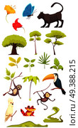 Rain forest jungle inhabitants flora fauna insects collection with alligator cobra snake butterflies monkeys isolated vector illustration . Rain Forest Jungle Set. Стоковая иллюстрация, агентство Ingram Publishing / Фотобанк Лори