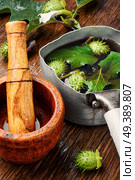 healing drink of herbs medicinal datura.Herbs medicine. Natural herbs medicine,datura. Стоковое фото, агентство Ingram Publishing / Фотобанк Лори
