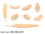 Bird Feathers Set. Стоковая иллюстрация, агентство Ingram Publishing / Фотобанк Лори