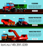 Potato Cultivation Flat Banners. Стоковая иллюстрация, агентство Ingram Publishing / Фотобанк Лори