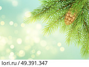 Realistic fir-tree branch with pinecone illustration. Spruce twig with bump on shining background. Christmas decoration with sparkling round lights. Postcard, banner design. Vector illustration. Realistic fir-tree branch with pinecone illustration. Стоковая иллюстрация, агентство Ingram Publishing / Фотобанк Лори