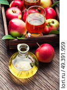 Apple cider with fresh apples on rustic background.Apple cider cocktail. Homemade cider from ripe apples. Стоковое фото, агентство Ingram Publishing / Фотобанк Лори