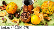 Pumpkin spice coffee with whipped cream.Autumn coffee.Coffee drink. Pumpkin spice coffee. Стоковое фото, агентство Ingram Publishing / Фотобанк Лори