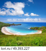 Torimbia beach in Asturias near Llanes of Spain. Стоковое фото, агентство Ingram Publishing / Фотобанк Лори