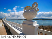 La Toja island Toxa beach flower pot in Pontevedra Galicia Spain. Стоковое фото, агентство Ingram Publishing / Фотобанк Лори