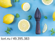 Fresh lemon citrus fruits with mint leaves and citrus reamer on blue bakground. Fresh lemon fruits. Стоковое фото, агентство Ingram Publishing / Фотобанк Лори