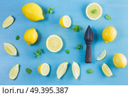 Fresh lemon citrus fruits with citrus reamer on blue bakground. Fresh lemon fruits. Стоковое фото, агентство Ingram Publishing / Фотобанк Лори