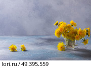 Fresh dandelions flowers bouquet in vase on gray background with copy space. Fresh dandelions on gray background. Стоковое фото, агентство Ingram Publishing / Фотобанк Лори