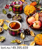 Teacup on an autumn background of fallen leaves and apples .Autumn postcard. Autumn still life with tea cups. Стоковое фото, агентство Ingram Publishing / Фотобанк Лори
