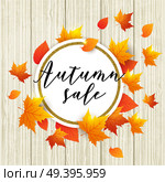 Autumn vector wooden background with orange maple leaves. Abstract round golden banner for seasonal fall sale. . Стоковая иллюстрация, агентство Ingram Publishing / Фотобанк Лори