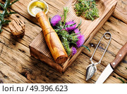 Wild healing herbs thistle in mortar.Herbal medicine.. Healing herbs thistle. Стоковое фото, агентство Ingram Publishing / Фотобанк Лори