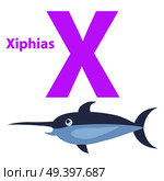 Funny alphabet with cartoon animal purple letter X and gray xiphias on white background. Vector illustration of english ABC for babies. Drawn large fish with sharp nose. Flat design teaching icon.. Funny Alphabet with Cartoon Animal Purple Letter X. Стоковая иллюстрация, агентство Ingram Publishing / Фотобанк Лори