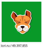Cheerful muzzle of Jack Russell Terrier flat icon on green background. Vector illustration of movable hunting breed of dogs, small sizes. Cartoon style canine head front view flat design for web.. Cheerful Muzzle of Jack Russell Terrier Flat Icon. Стоковая иллюстрация, агентство Ingram Publishing / Фотобанк Лори