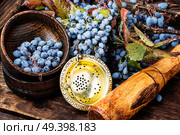 Mortar with healing berries in herbal medicine.Health diet.Herbalism.Herbalist. Berries in herbal medicine. Стоковое фото, агентство Ingram Publishing / Фотобанк Лори