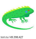 Cute funny green lizard iguana vector flat cartoon sticker isolated on white. Tropical reptile animal illustration for game counters, price tags. Cute Iguana Cartoon Flat Vector Sticker or Icon. Стоковая иллюстрация, агентство Ingram Publishing / Фотобанк Лори