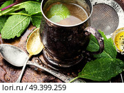 Brewed delicious herbal tea with sage on retro background.Herbal tea with sage. Cups of healthy herbal tea. Стоковое фото, агентство Ingram Publishing / Фотобанк Лори