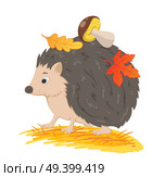 Cute forest hedgehog with autumn leaves and mushroom on a white background. Vector illustration. Стоковая иллюстрация, агентство Ingram Publishing / Фотобанк Лори