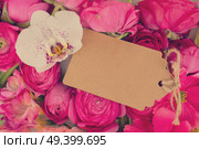 Flowers composition. Floral background made of made of dried eucaliptus leaves and flowers. Flat lay, top view, copy space, retro toned. Flowers flat lay composition. Стоковое фото, агентство Ingram Publishing / Фотобанк Лори