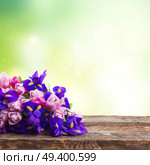 Bunch of blue irises and pik tulips on wooden table border on bokeh background. Blue irises and pik tulips. Стоковое фото, агентство Ingram Publishing / Фотобанк Лори
