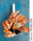 Fresh seafood catch of lobsters, crabs, and langostines on blue background. Fresh seafood on blue background. Стоковое фото, агентство Ingram Publishing / Фотобанк Лори