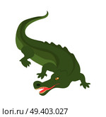 Crocodile cartoon character. Scary green crocodile with open mouth flat isolated vector. African fauna. Crocodile icon. Wild animal illustration for zoo ad, nature concept, children book illustrating. Стоковая иллюстрация, агентство Ingram Publishing / Фотобанк Лори