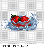 Ripe juicy strawberries fall in water with splash that spreads drops all over isolated vector illustration on transparent background.. Strawberries Drop in Water Isolated Illustration. Стоковая иллюстрация, агентство Ingram Publishing / Фотобанк Лори