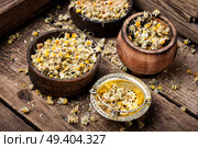 Dried chamomile flowers on wooden table.Alternative medicine.Bowls of dry medicinal herbs. Dried chamomile flowers. Стоковое фото, агентство Ingram Publishing / Фотобанк Лори