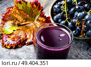 Natural organic juicy grapes and grape fruit. Red grape juice in glass. Стоковое фото, агентство Ingram Publishing / Фотобанк Лори