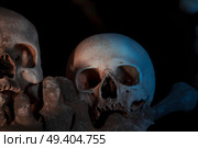 skulls in Kostnice church in the Czech town of Kutna Hora. Стоковое фото, агентство Ingram Publishing / Фотобанк Лори