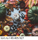 Autumn still life with various colorful pumpkins, fall leaves ,nuts, mug of hot chocolate , marshmallow , cinnamon stick, acorns and chestnuts top view , flat lay, Стоковое фото, агентство Ingram Publishing / Фотобанк Лори