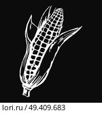 Tasty ripe corn cob with leaves isolated white outline on black background. Healthy organic cereal plant grown at farm vector illustration.. Tasty Ripe Corn Cob Isolated White Silhouette. Стоковая иллюстрация, агентство Ingram Publishing / Фотобанк Лори