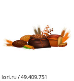 Grains and agricultural products colorful vector poster. Harvest of crude crops in bag and on ears, bread made of these ingredients. Grains and Agricultural Products Colorful Poster. Стоковая иллюстрация, агентство Ingram Publishing / Фотобанк Лори