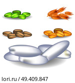 Grain assortment with pile of big rice and heaps of small green millet, brown oat, golden wheat and rye closeup vector illustration. Grains Assortment with Pile of Big Rice and Other. Стоковая иллюстрация, агентство Ingram Publishing / Фотобанк Лори