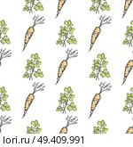 Healthy carrot and parsley sprig seamless pattern. Crispy vegetable and bushy herb vector illustrations formed in endless texture.. Healthy Carrot and Parsley Sprig Seamless Pattern. Стоковая иллюстрация, агентство Ingram Publishing / Фотобанк Лори