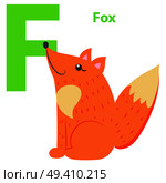 New babies alphabet with letter F Fox flat design on white background. Red cartoon animal teaches basics of reading. Vector illustration of preschool education color funny card graphic style.. New Babies Alphabet with Letter F Fox Flat Design. Стоковая иллюстрация, агентство Ingram Publishing / Фотобанк Лори