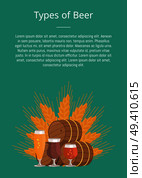 Types of beer degustation vector illustration on green. Wheat, wooden barrels and three glasses draught pale and dark beers on background of wheat.. Beer Digustation at Octoberfest Vector Illustation. Стоковая иллюстрация, агентство Ingram Publishing / Фотобанк Лори