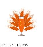 Pilsner glass of beer on background of ears of wheat vector. Refreshing alcoholic beverage in transparent glassware in flat style. Pilsner Glass of Beer Isolated on White Background. Стоковая иллюстрация, агентство Ingram Publishing / Фотобанк Лори