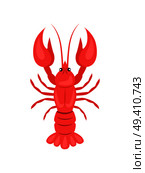 Red crayfish vector illustration isolated on white background. Crawfish or crawdads, freshwater lobster, mudbugs or yabbies seafood in flat design. Red Crayfish Vector Illustration Isolated on White. Стоковая иллюстрация, агентство Ingram Publishing / Фотобанк Лори