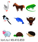 Set of cartoon animal pet and wild nine icons on white background. Vector illustration of green guana and turtle, brown horse and owl, curly sheep, prickly hedgehog, magpie, blue xiphias, whitey goose. Set of Cartoon Animal Pet and Wild Nine Icons. Стоковая иллюстрация, агентство Ingram Publishing / Фотобанк Лори