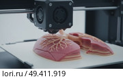 Биопринтинг — печать человеческих органов на 3D-принтере. Стоковое AI-видео, аниматор Денис Костров / Фотобанк Лори