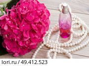 pink hortensia  flowers and bottle of fragrance. Стоковое фото, агентство Ingram Publishing / Фотобанк Лори